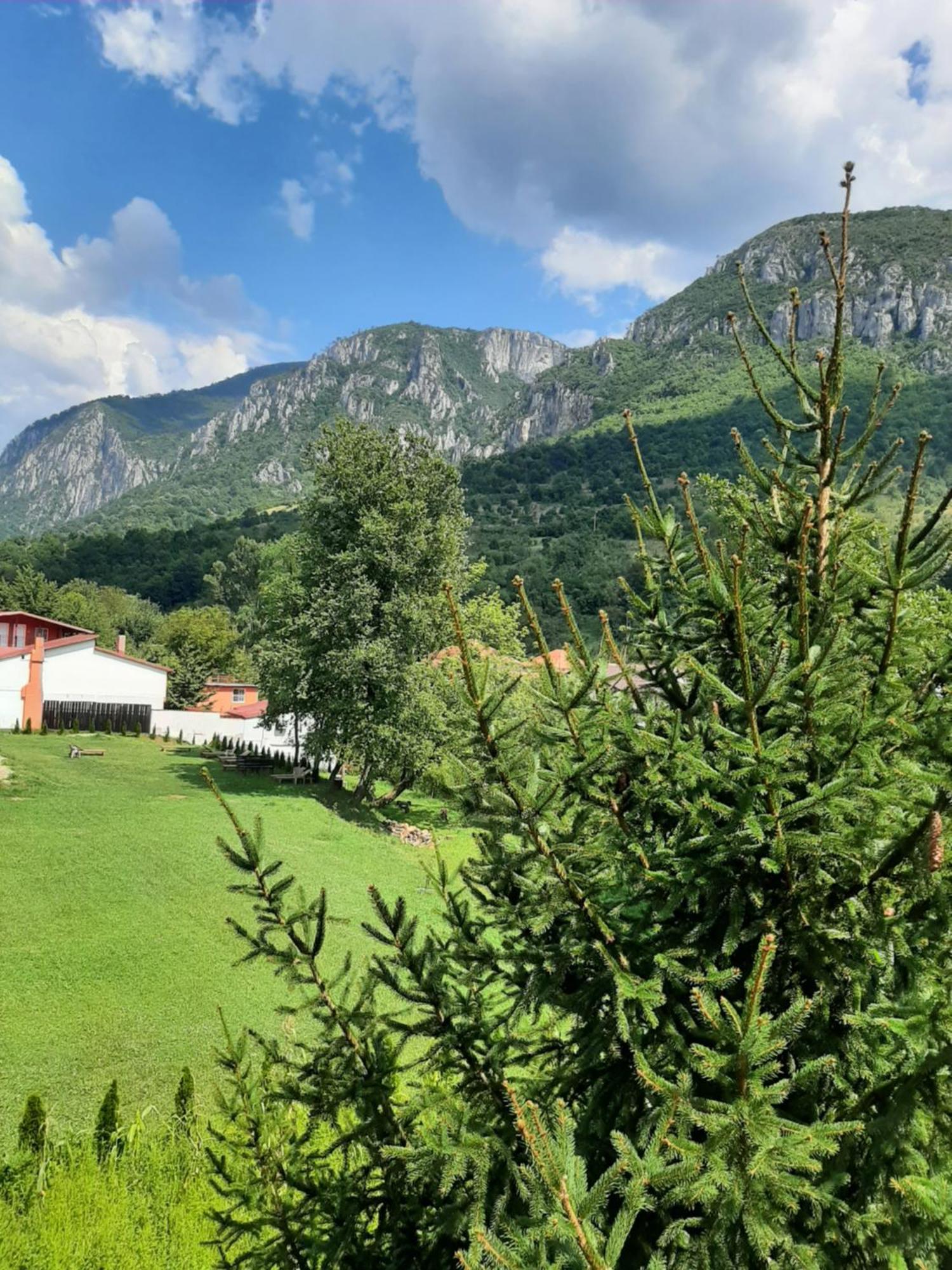 Pensiune Safrane Băile Herculane Exterior foto