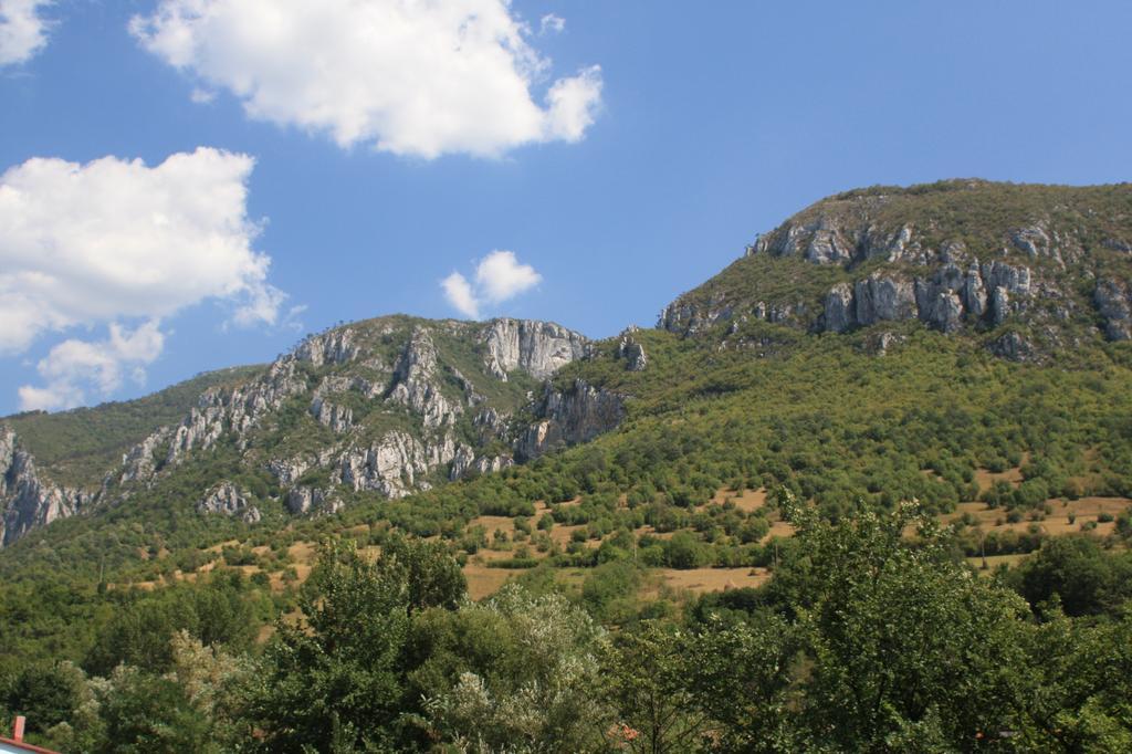 Pensiune Safrane Băile Herculane Habitación foto