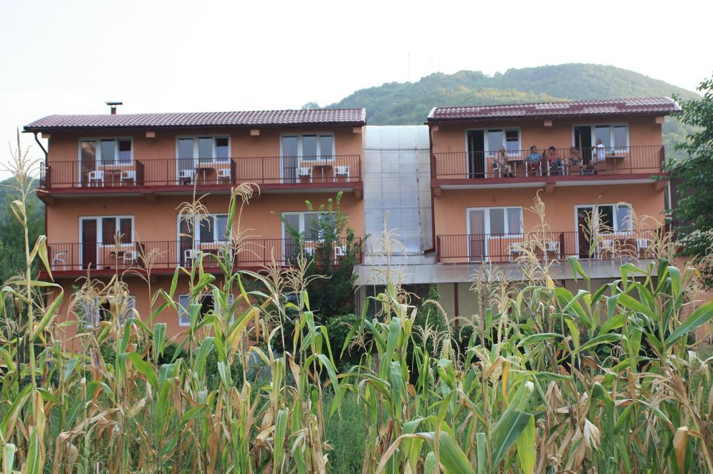 Pensiune Safrane Băile Herculane Habitación foto